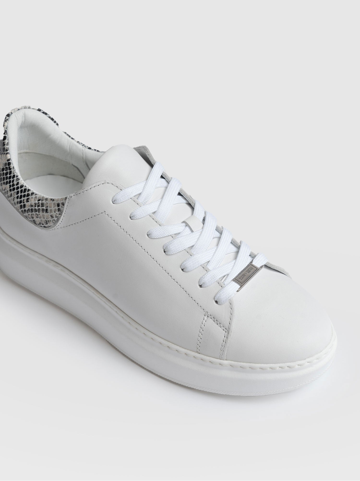 Hampstead Trainer - Snake